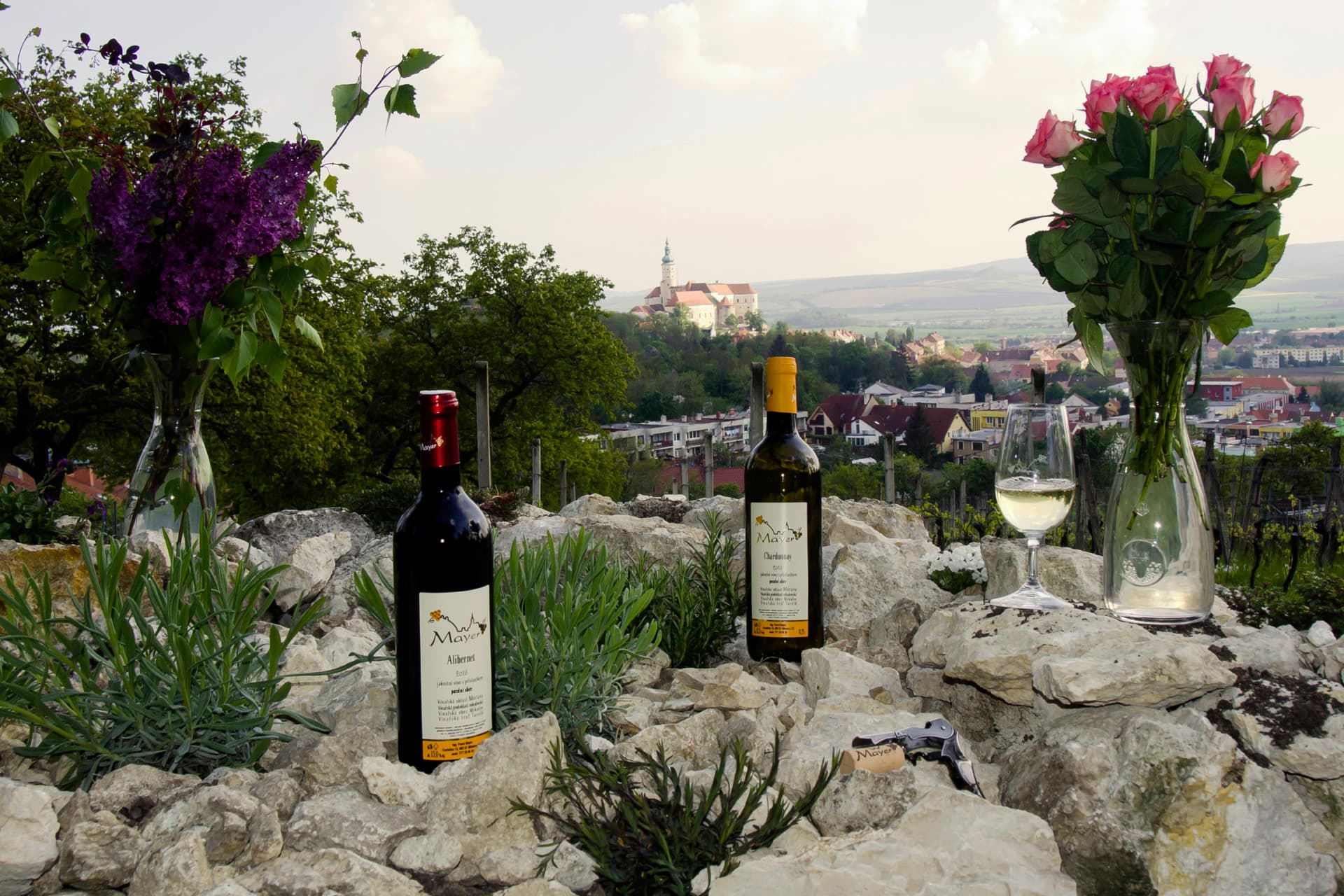 Someliér a degustační sklenky